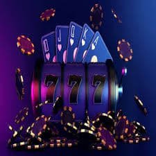 bet 6566